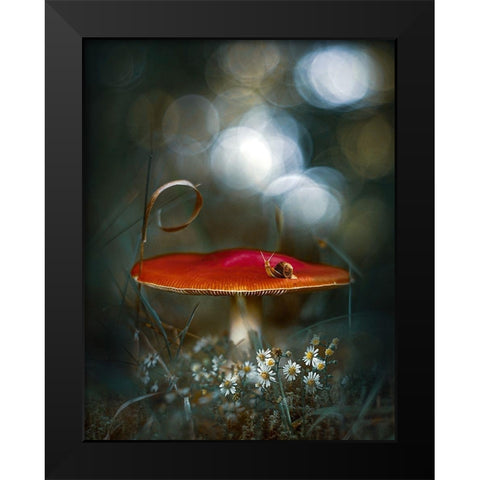 Mushroom Fantasy Black Modern Wood Framed Art Print by Love Grams