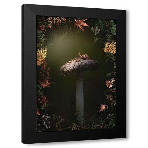 Mushroom Medley Black Modern Wood Framed Art Print with Double Matting by Love Grams