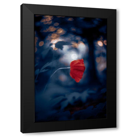 Night of the Poppy Black Modern Wood Framed Art Print by Love Grams