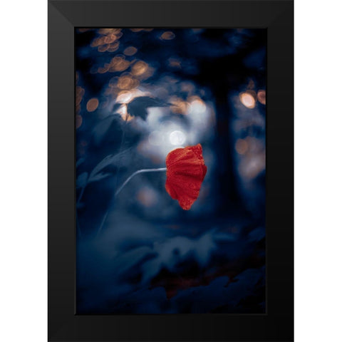 Night of the Poppy Black Modern Wood Framed Art Print by Love Grams
