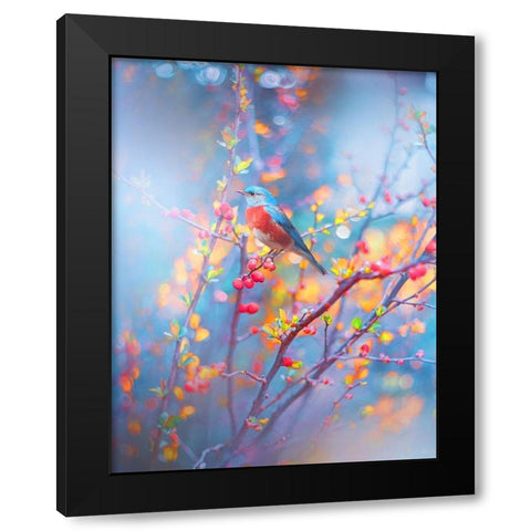 Robin in Blue Black Modern Wood Framed Art Print by Love Grams