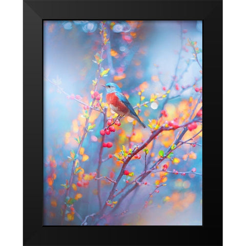 Robin in Blue Black Modern Wood Framed Art Print by Love Grams