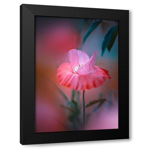Summer Warmth Black Modern Wood Framed Art Print with Double Matting by Love Grams