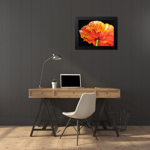 A Single Poppy Black Modern Wood Framed Art Print by Baldwin, Marcia