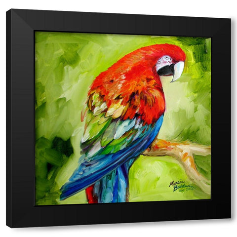 Macaw Tropical Black Modern Wood Framed Art Print with Double Matting by Baldwin, Marcia
