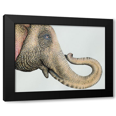 Spotted Asian Elephant 2 Black Modern Wood Framed Art Print by Wickstrom, Martin
