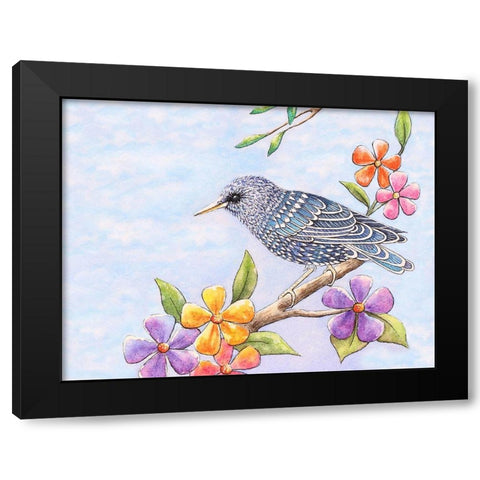 Starling Bird with Flowers Black Modern Wood Framed Art Print with Double Matting by Wickstrom, Martin