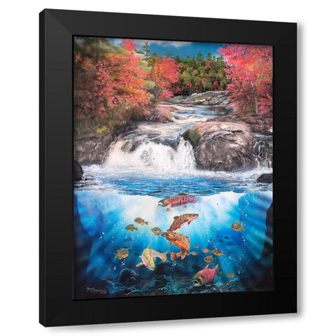 Fish Falls Black Modern Wood Framed Art Print with Double Matting by Murray Henderson Fine Art