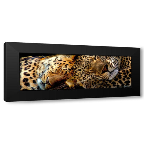 Two Sleepers Cheetahs Black Modern Wood Framed Art Print by Murray Henderson Fine Art