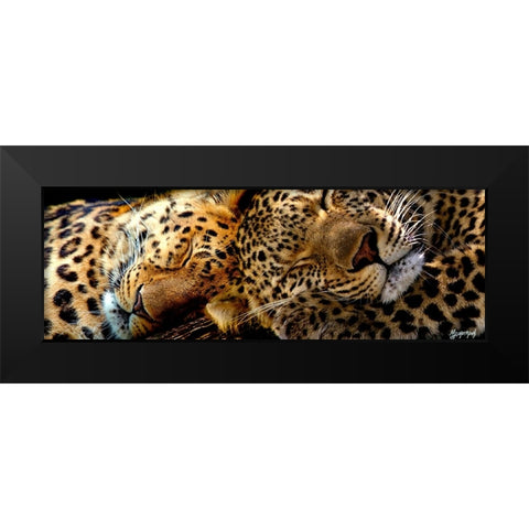 Two Sleepers Cheetahs Black Modern Wood Framed Art Print by Murray Henderson Fine Art