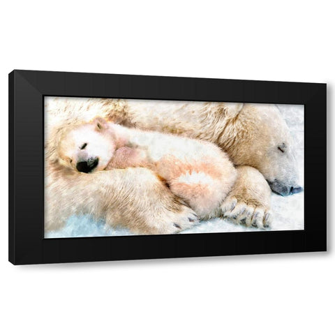 Polar Sleep Black Modern Wood Framed Art Print with Double Matting by Murray Henderson Fine Art