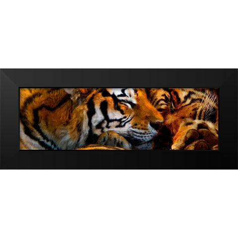 Tigers Sleep Black Modern Wood Framed Art Print by Murray Henderson Fine Art