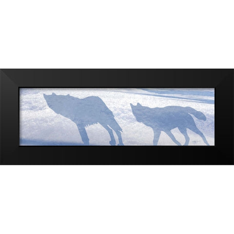 Wolf Pack Shadows Black Modern Wood Framed Art Print by Murray Henderson Fine Art