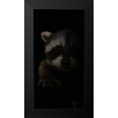 Bandit Black Modern Wood Framed Art Print by Murray Henderson Fine Art