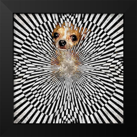 Chiwhat The Black Modern Wood Framed Art Print by Murray Henderson Fine Art