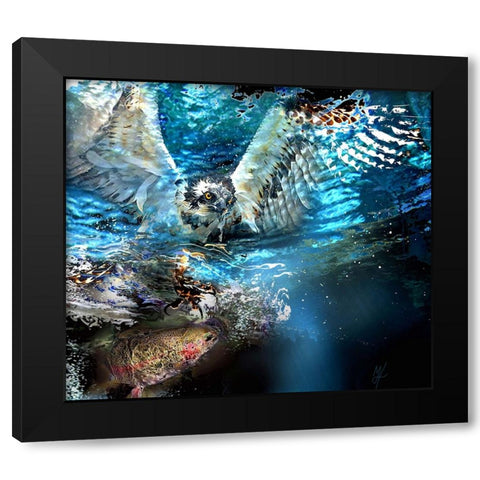 Circle Of Life Osprey Black Modern Wood Framed Art Print with Double Matting by Murray Henderson Fine Art