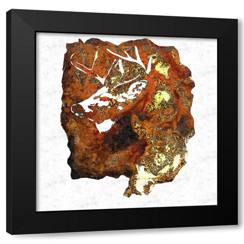 Deer M Black Modern Wood Framed Art Print with Double Matting by Murray Henderson Fine Art