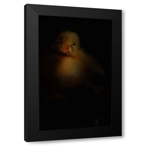Duckling Black Modern Wood Framed Art Print by Murray Henderson Fine Art