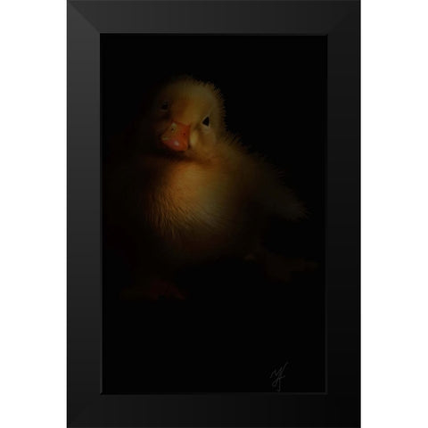Duckling Black Modern Wood Framed Art Print by Murray Henderson Fine Art