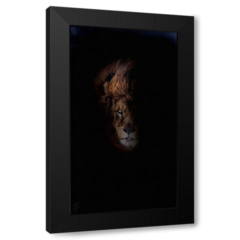 Lion Black Modern Wood Framed Art Print by Murray Henderson Fine Art