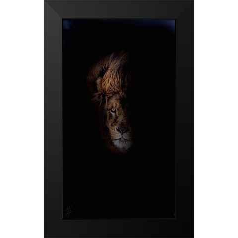 Lion Black Modern Wood Framed Art Print by Murray Henderson Fine Art