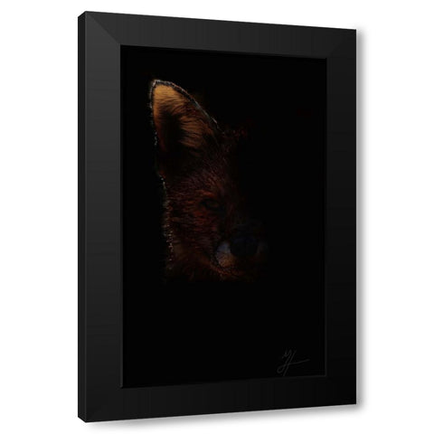Out Fox Black Modern Wood Framed Art Print by Murray Henderson Fine Art