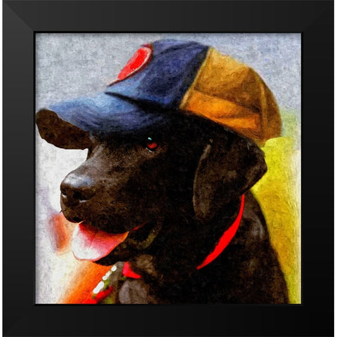 Rookie Black Modern Wood Framed Art Print by Murray Henderson Fine Art