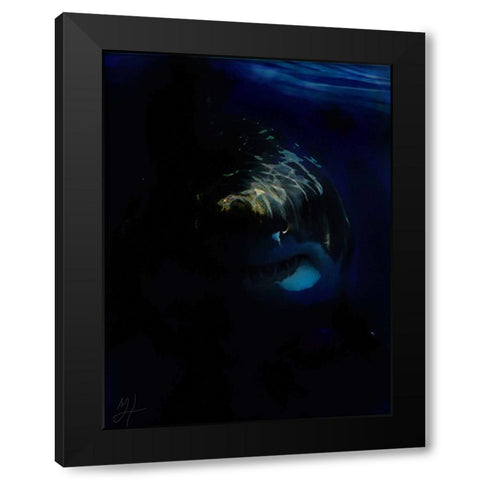 Shark Shadows (1) Black Modern Wood Framed Art Print with Double Matting by Murray Henderson Fine Art