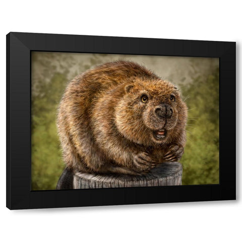 Beaver Totem Black Modern Wood Framed Art Print by LaMontagne, Patrick