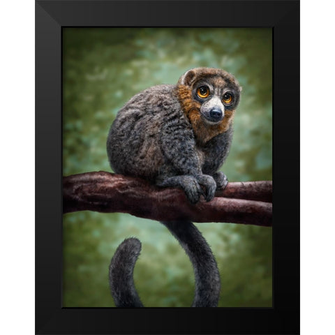 Mongoose Lemur Totem Black Modern Wood Framed Art Print by LaMontagne, Patrick