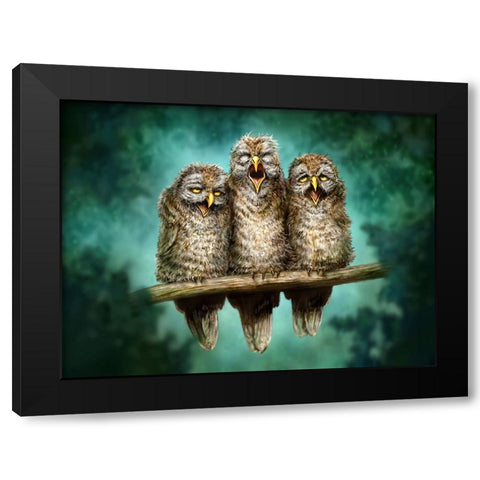 One Hoot Wonders Black Modern Wood Framed Art Print by LaMontagne, Patrick