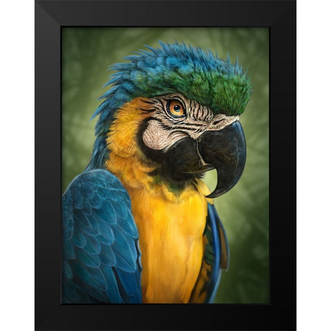 Parrot Totem Black Modern Wood Framed Art Print by LaMontagne, Patrick