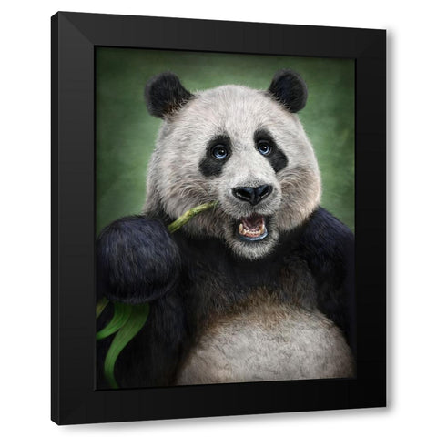 Panda Totem Black Modern Wood Framed Art Print with Double Matting by LaMontagne, Patrick