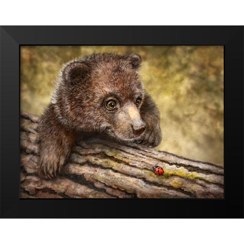 Kodiak Cub Black Modern Wood Framed Art Print by LaMontagne, Patrick