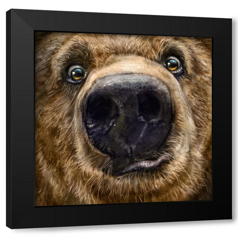 Kodiak Closeup Black Modern Wood Framed Art Print by LaMontagne, Patrick