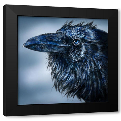 Blue Beak Raven Black Modern Wood Framed Art Print by LaMontagne, Patrick