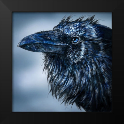Blue Beak Raven Black Modern Wood Framed Art Print by LaMontagne, Patrick