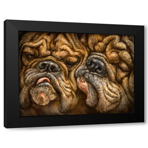 Wrinkles Black Modern Wood Framed Art Print by LaMontagne, Patrick