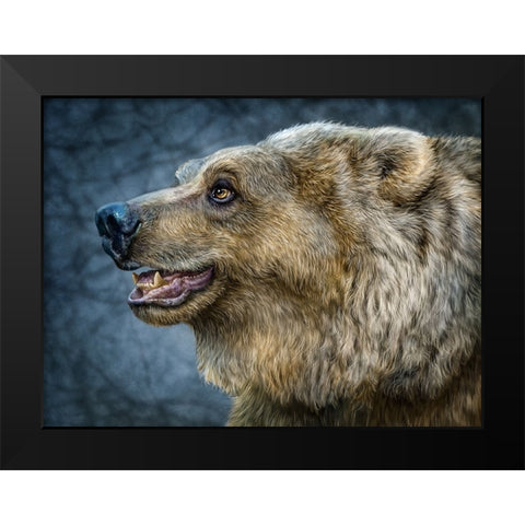 Bear Wonder Black Modern Wood Framed Art Print by LaMontagne, Patrick