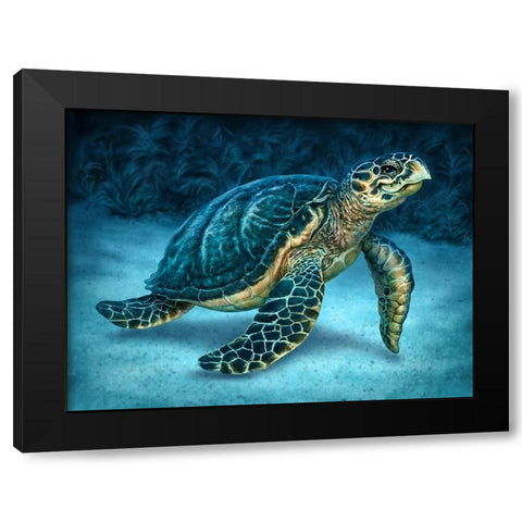 Sea Turtle Black Modern Wood Framed Art Print by LaMontagne, Patrick
