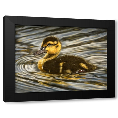 Duckling Black Modern Wood Framed Art Print by LaMontagne, Patrick