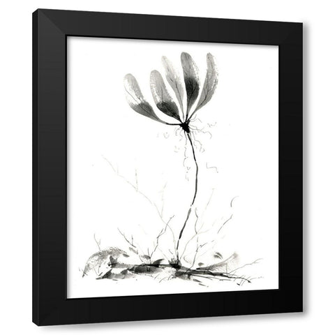 Spring Flower Black Modern Wood Framed Art Print with Double Matting by Randy Noble Fine Art