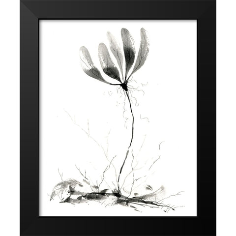 Spring Flower Black Modern Wood Framed Art Print by Randy Noble Fine Art