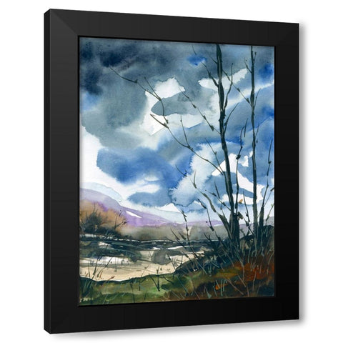 Quail Run Black Modern Wood Framed Art Print by Randy Noble Fine Art