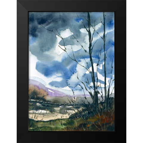 Quail Run Black Modern Wood Framed Art Print by Randy Noble Fine Art