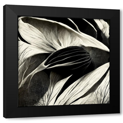 B002 Flowers Black White Black Modern Wood Framed Art Print with Double Matting by Heere, Ray