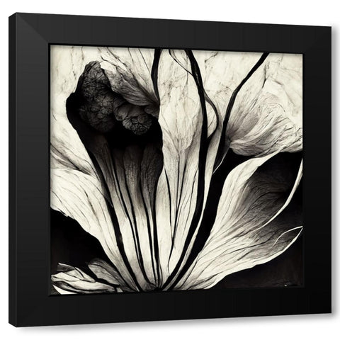 B003 Flowers Black White Black Modern Wood Framed Art Print by Heere, Ray