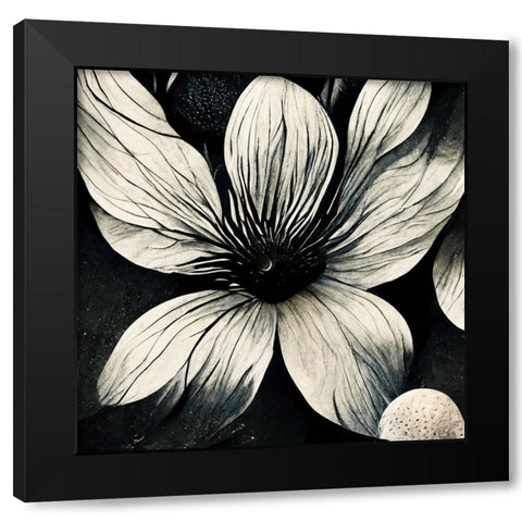 B005 Flowers Black White Black Modern Wood Framed Art Print with Double Matting by Heere, Ray