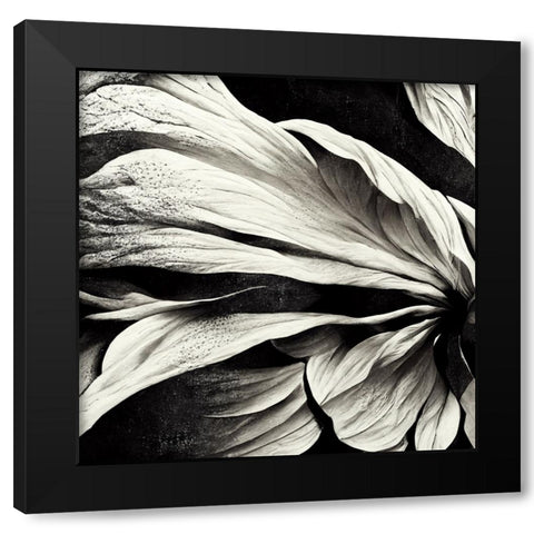 B009 Flowers Black White Black Modern Wood Framed Art Print with Double Matting by Heere, Ray