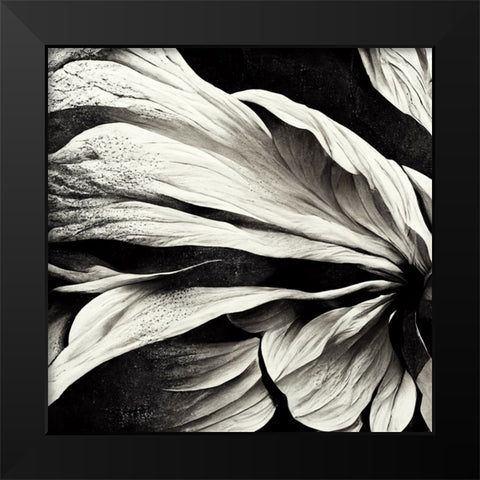 B009 Flowers Black White Black Modern Wood Framed Art Print by Heere, Ray